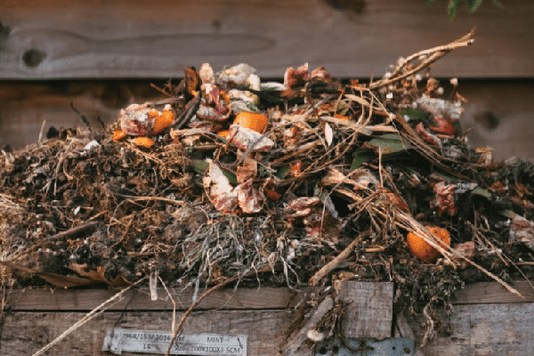 Garden Compost and Soil Health
