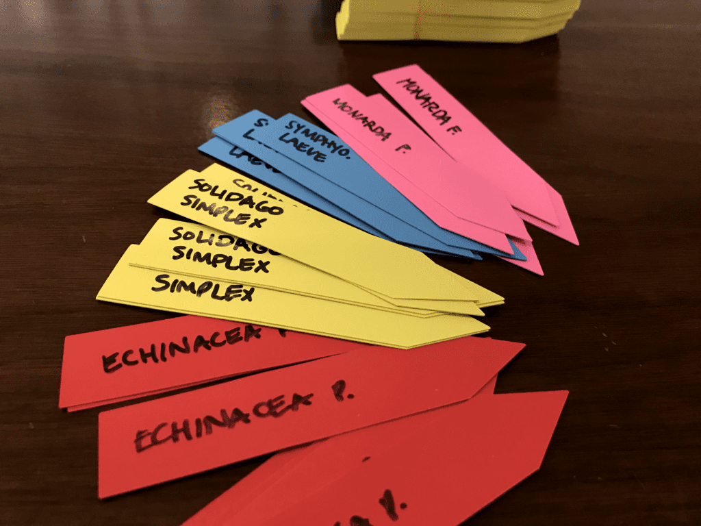 plant tags labeled with native plant names
