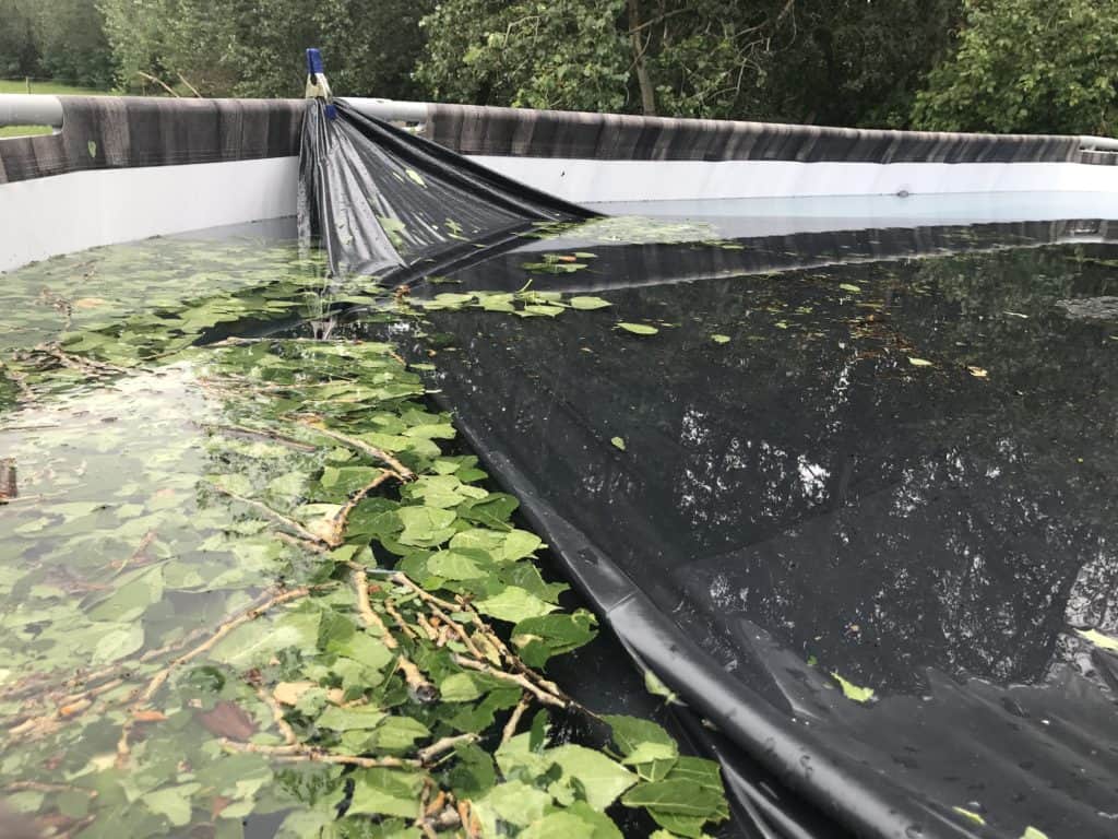 pool with floating leaves and twigs following storm