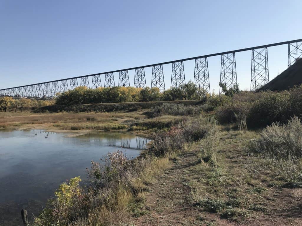View of the Elizabeth Hall Wetlands in foreground with the High Level Bridge in the background in Lethbridge, Alberta