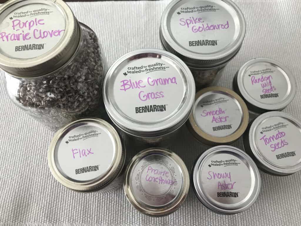 Labelled jars of wildflower seed collected from Southern Alberta wildflower garden.